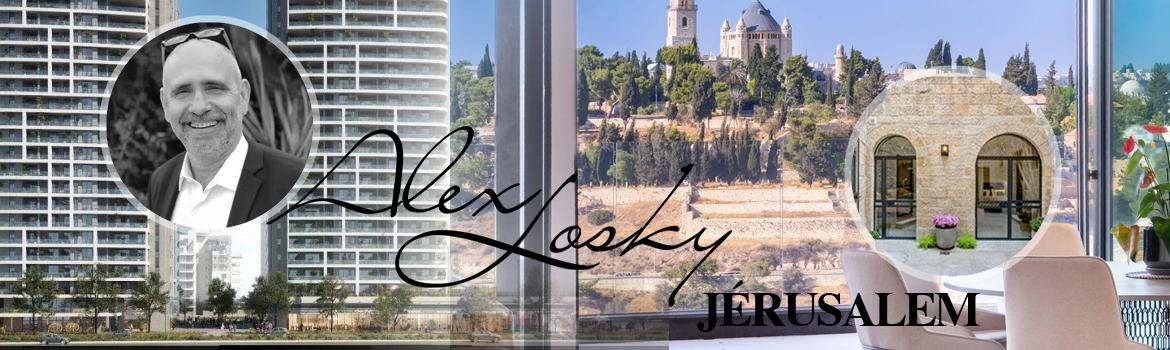 Alex Losky Real Estate